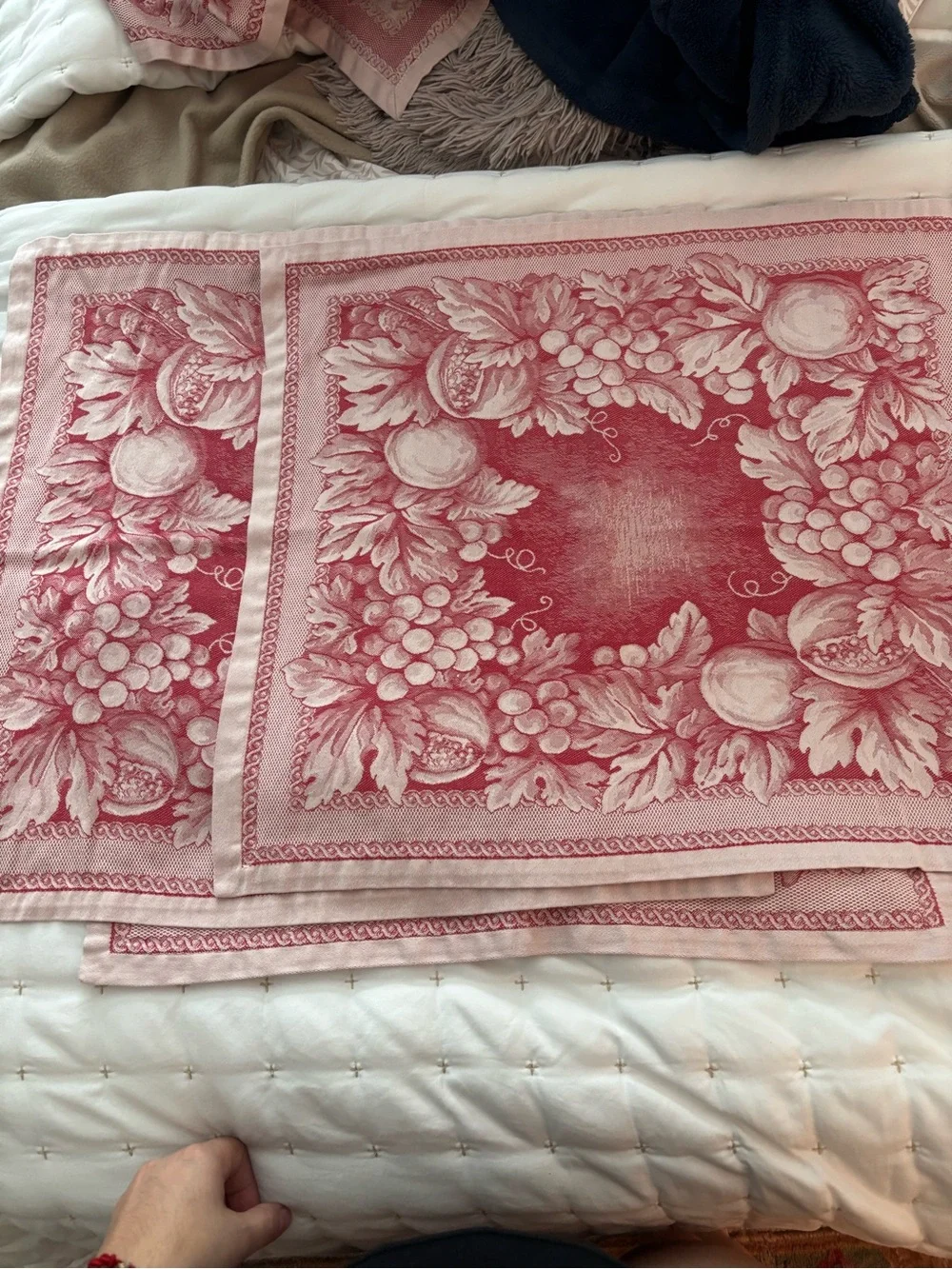 Williams Sonoma Le Telerie Toscane Jacquard Napkins Red Fruits Set 4